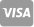 icono Visa