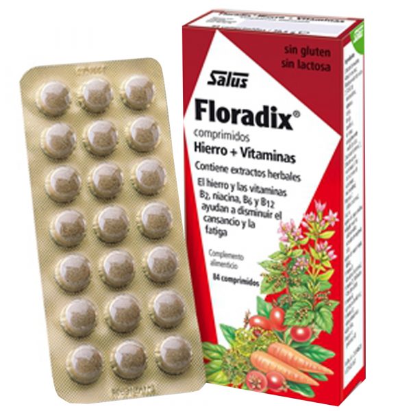 Floradix 84 Tablets